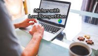 Niches-with-Low-Competition